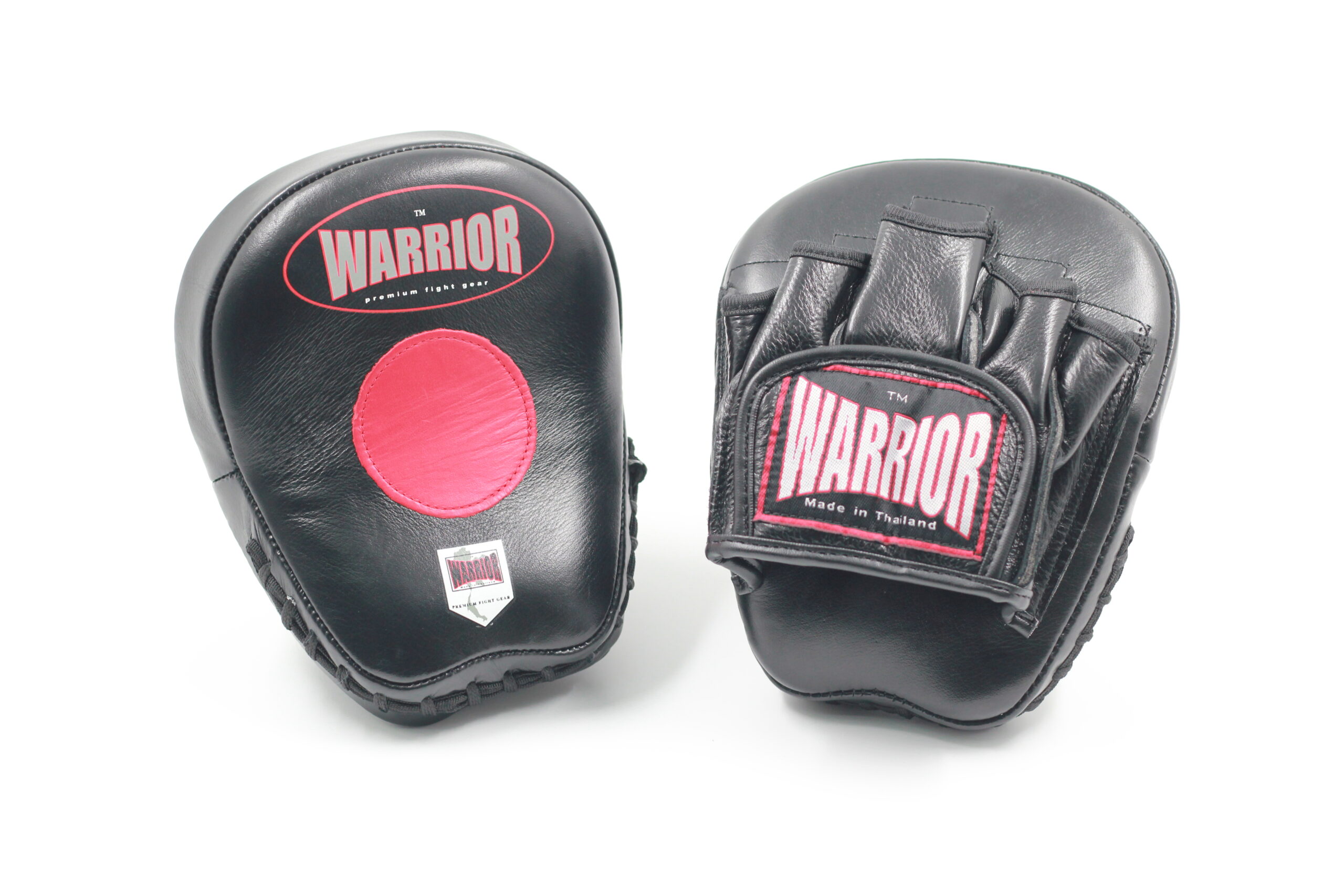 Focus Mitts
